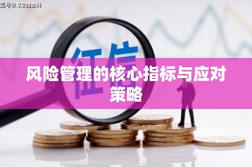 连平风险管理的核心指标与应对策略