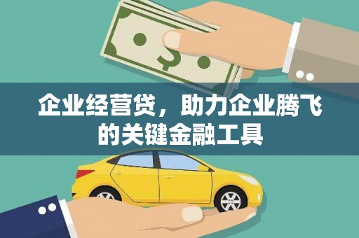 苍梧企业经营贷，助力企业腾飞的关键金融工具