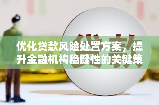 凤凰优化贷款风险处置方案，提升金融机构稳健性的关键策略