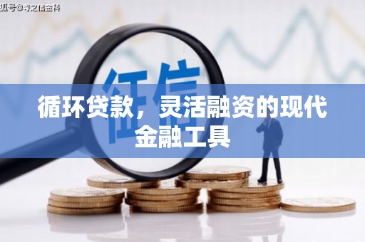 巴塘循环贷款，灵活融资的现代金融工具