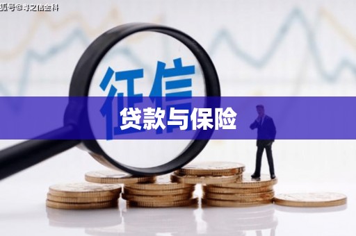 原阳贷款与保险