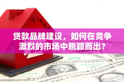 岱山贷款品牌建设，如何在竞争激烈的市场中脱颖而出？
