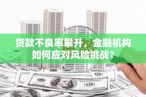 蓬溪贷款不良率攀升，金融机构如何应对风险挑战？