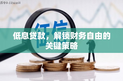 玉树低息贷款，解锁财务自由的关键策略