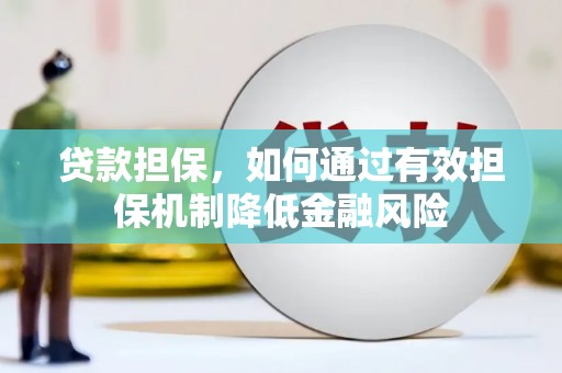 水上贷款担保，如何通过有效担保机制降低金融风险