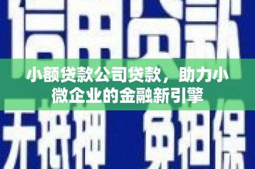 镇赉小额贷款公司贷款，助力小微企业的金融新引擎