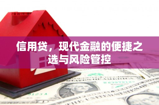 贞丰信用贷，现代金融的便捷之选与风险管控