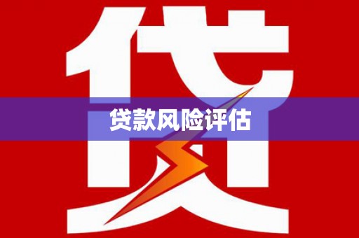 邵阳贷款风险评估