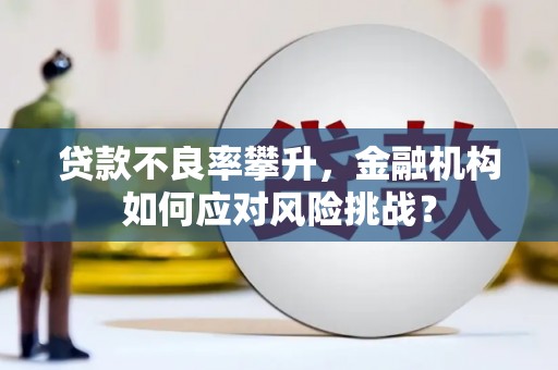 永靖贷款不良率攀升，金融机构如何应对风险挑战？