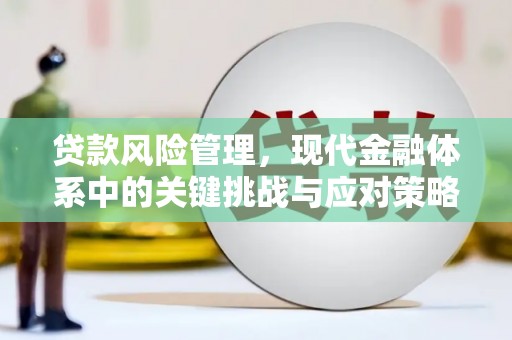 九原贷款风险管理，现代金融体系中的关键挑战与应对策略