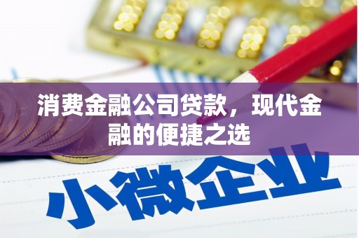 巴青消费金融公司贷款，现代金融的便捷之选