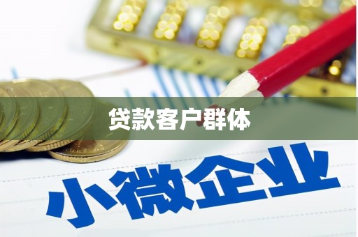盐边贷款客户群体
