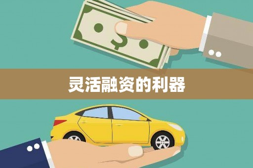 荷塘灵活融资的利器