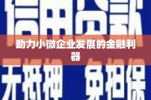 定结助力小微企业发展的金融利器