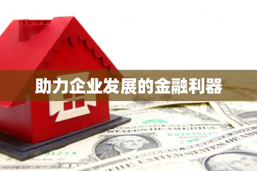 西吉助力企业发展的金融利器