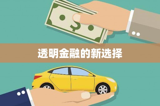 山南透明金融的新选择