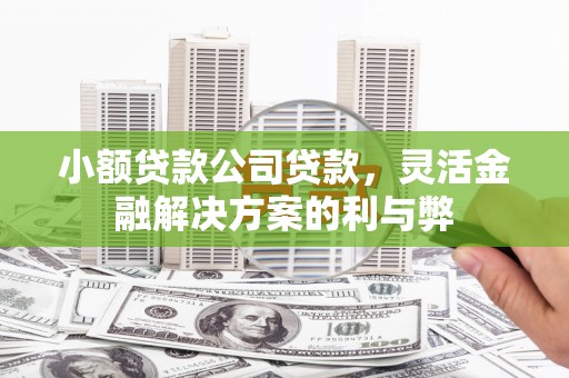 中方小额贷款公司贷款，灵活金融解决方案的利与弊