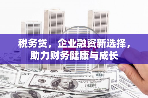 齐齐哈尔税务贷，企业融资新选择，助力财务健康与成长