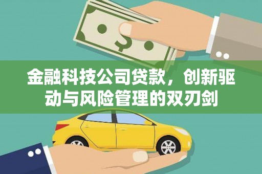 田家庵金融科技公司贷款，创新驱动与风险管理的双刃剑